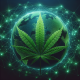 Cannabis News