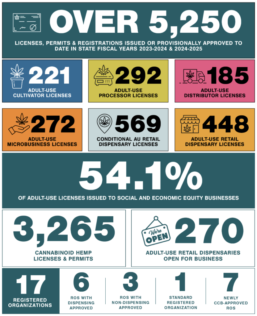 2024 in Review (infographic)